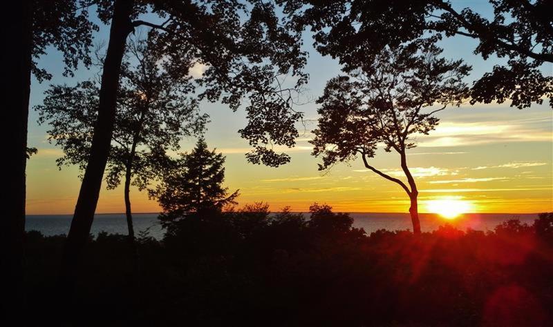 Pet-Friendly One Crow Cottage In Harbor Springs! Extérieur photo